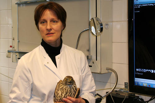 Die habilitierte Veterinärmedizinerin Kerstin Müller ist als Oberärztin für die medizinische Versorgung der Wildtiere zuständig.