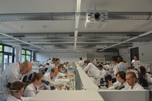 In einem der beiden Kursräume des Robert-von-Ostertag-Hauses können bis zu 90 Studierende gleichzeitig experimentieren.