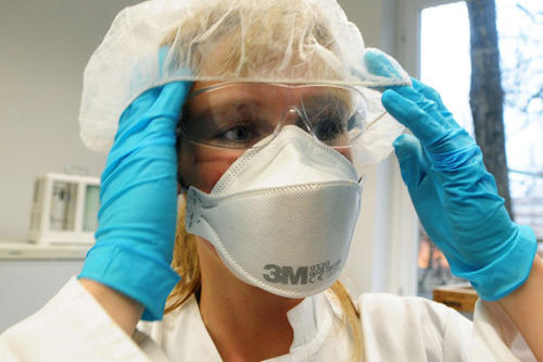 Das H1N1 Grippevirus ruft bei Menschen bisher vorwiegend milde Krankheitsverläufe hervor