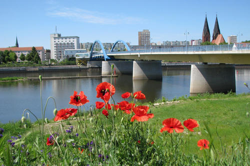 Blick zum Nachbarn: Die Brücke über die Oder verbindet Frankfurt (Oder) und das polnische Słubice