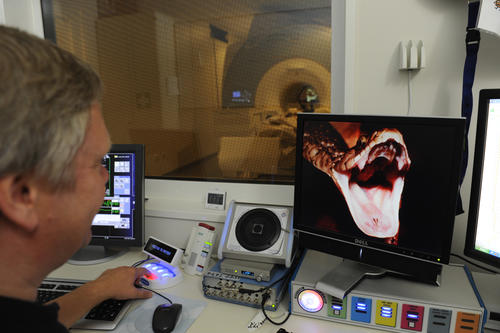 During an experiment, a test subject sees stimuli while undergoing an MRI scan – here, a picture of a snake. The investigator can keep track of the material that is being displayed and what is going on in the scanner room via monitors.