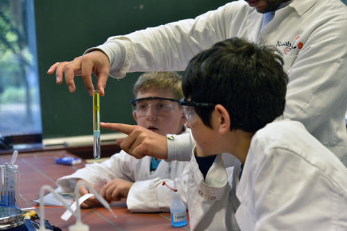 Simon und Nasir betrachten eine Phasen-Schichtung im Reagenzglas - von oben: Lampenöl, Sonnenblumenöl, Fehling-Lösung und Wasser.