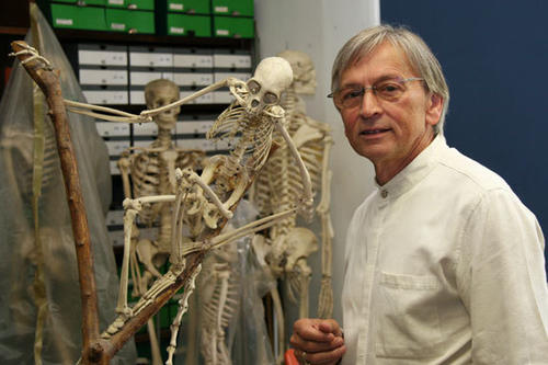 Vielfältig: Carsten Niemitz beschäftigt sich mit der Wissenschaft von den Halbaffen, Affen, Menschenaffen und Menschen