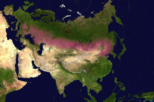 The Eurasian steppe stretches from Eastern Europe to the northeast of the Asian continent.