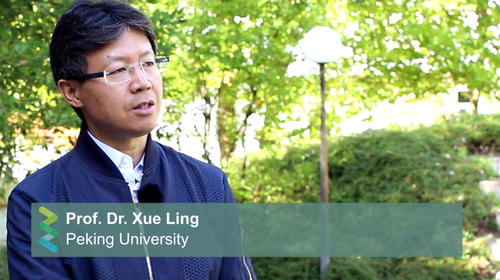 Interview with Xue Ling