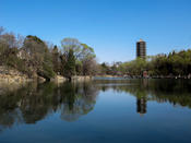 An impression from the campus of Peking University