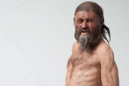 160 cm groß soll Ötzi gewesen sein, dessen 5300 Jahre alte Mumie 1991 in den Ötztaler Alpen entdeckt wurde. Die Körperhöhe von vorgeschichtlichen Menschen lässt sich anhand von Langknochen berechnen.