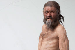 Ötzi, the 5300-year-old mummy discovered in 1991 in the Ötztal Alps, is thought to have been 160 cm in size. The stature of prehistoric humans can be calculated, based on their long bones.