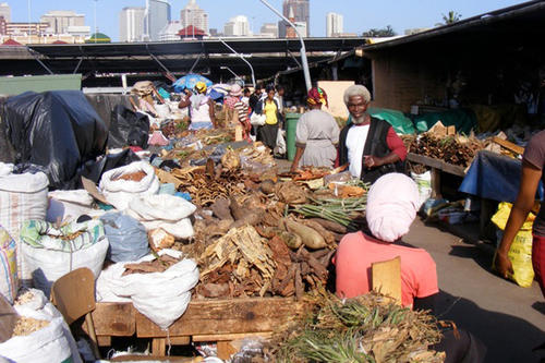 An der südafrikanischen Ostküste wachsen besonders viele Heilpflanzen, die es nirgendwo anders gibt, und die auch vor Ort gehandelt werden - wie hier auf einem "Muthi"-Markt in Durban.