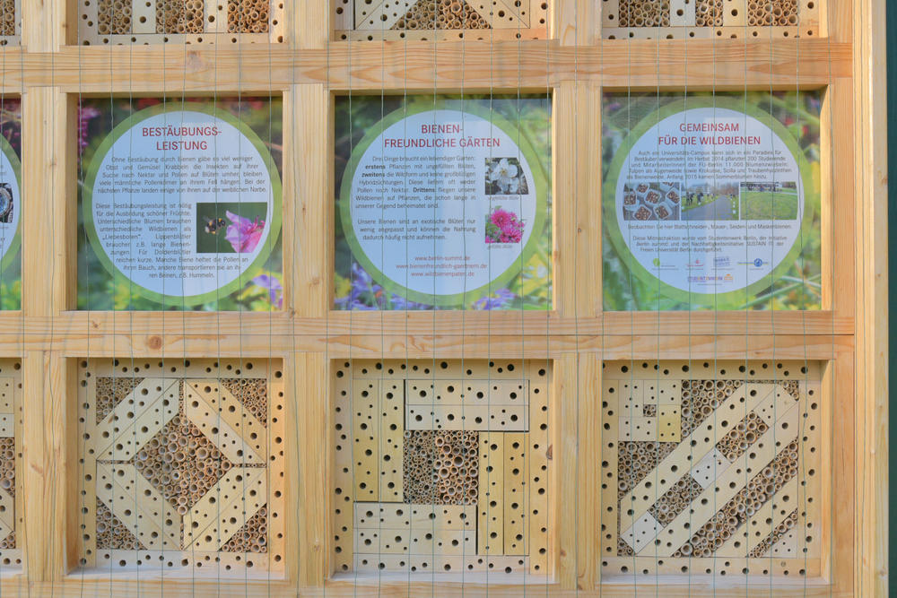 Wildbienenhotel auf dem Campus: Schutz für den Bienennachwuchs.