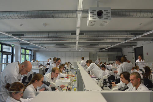 Modern und praktisch: In einem der neuen Kursräume im Robert-von-Ostertag-Haus können bis zu 90 Studierende gleichzeitig experimentieren.