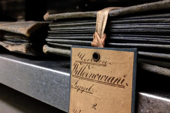 Collected history: The Willdenow Herbarium encompasses nearly 40,000 dried plant specimens. Some of them come from Alexander von Humboldt’s expedition in the Americas.