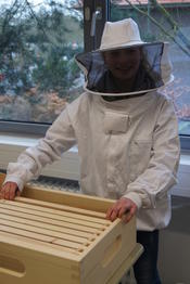 Workshop: Die Wunderwelt der Bienen und das Geheimnis unseres Überlebens!