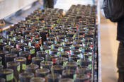 Im Experiment wird untersucht, wie sich Eigenschaften des Bodens und der Umgebung auf das Wachstum verschiedener Pflanzen auswirken.
