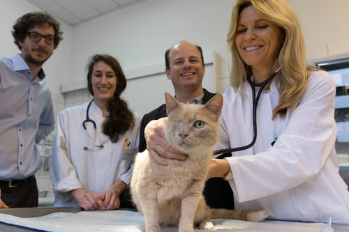 Auch Tiere profitieren vom Arznei-Shuttle (v. l. n. r.): Gründer Emanuel Fleige, Tierärztin Laura Schneidewind, Gründer Sam Moré sowie die Direktorin der Kleintierklinik der Freien Universität Prof. Babara Kohn mit Katze Psyllos.