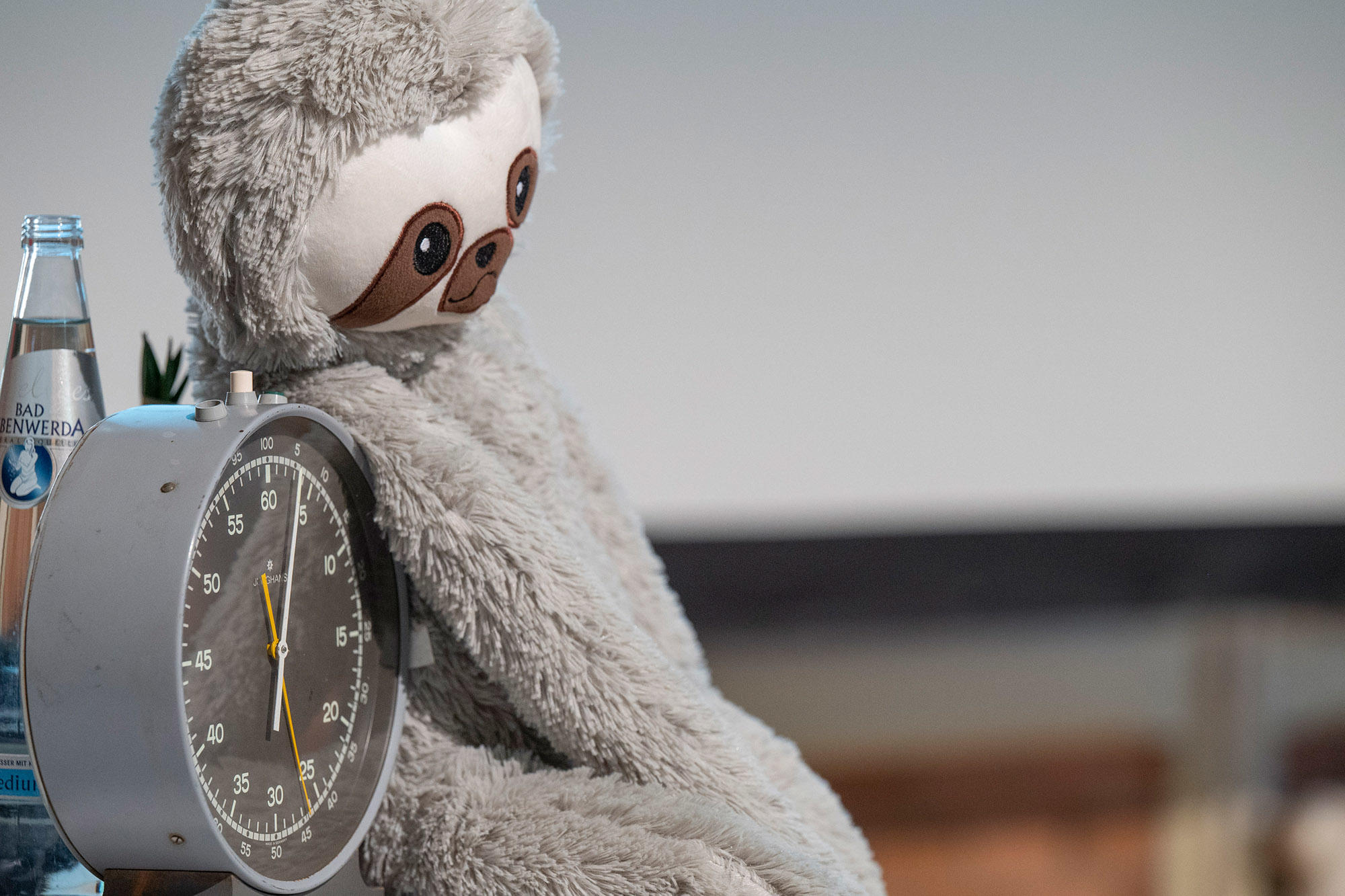 Plüsch-Faultier sitzt als Maskottchen neben einer großen Stoppuhr