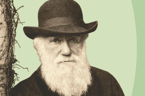 Wege zu Darwin - Pflanzen, Mannigfaltigkeit, Evolution. Vom 12.2. bis 31.12.09 im Botanischen Garten und Botanischen Museum Berlin-Dahlem