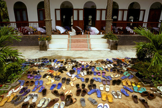 Die Graduate School Muslim Cultures and Societies untersucht vergleichend die Vielfalt dessen, was historisch und in der Gegenwart unter Islam verstanden wurde und wird