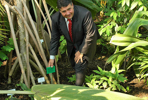Sigmar Gabriel