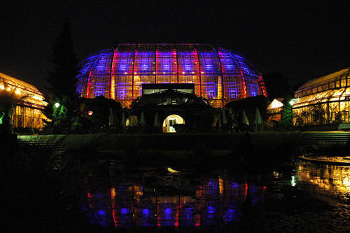 Tropenhaus bei Nacht