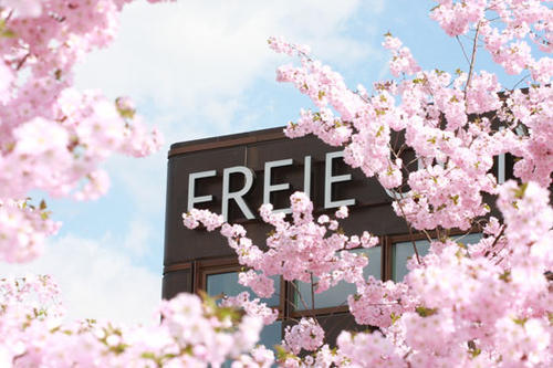 Frühlingszeit ist Allergikerzeit