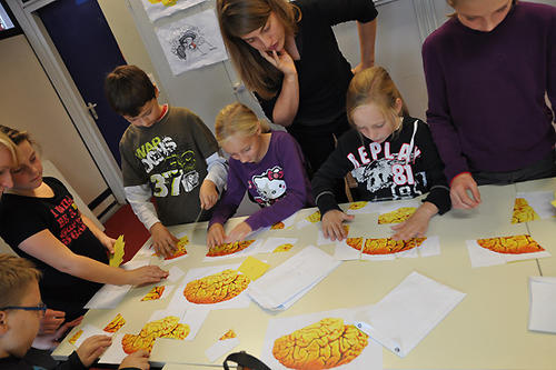 Gehirnpuzzle. Spielerisch lernten die Kinder, wie ein Gehirn aussieht und was das mit den Gefühlen zu tun hat.
