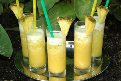 Im Großen Tropenhaus des Botanischen Gartens erwarten die Besucher am Freitag und Sonnabend Cocktails, karibische Klänge und Führungen durch die Welt der fremden Pflanzen