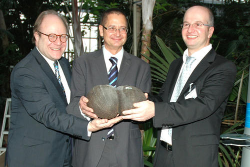 V.l.n.r.: Prof. Dr. Nikolaus Fuchs, Honorarkonsul der Republik Seychellen, Robin Maletz, Rechtsanwalt und Notar sowie Prof. Dr. Thomas Borsch, Direktor des Botanischen Gartens, präsentieren die sogenannte Seychellennuss.