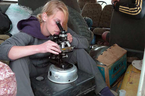Die Studentin Jana Hildebrand mikroskopiert Proben im improvisierten Auto-Labor.