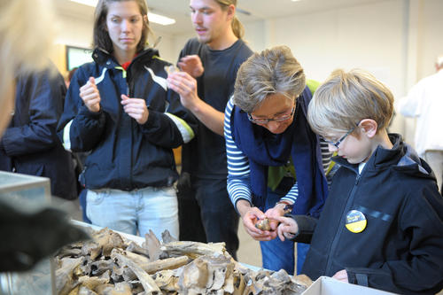 Nachwuchsarchäologen bei der Arbeit: Beim Institut für Prähistorische Archäologie wurden Knochen untersucht.