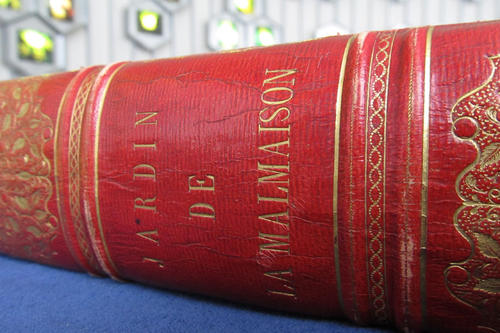 Im Blütensaal des Botanischen Museuem Berlin wurde das Buch feierlich dem Museum übergeben.