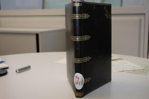 Der Buchrücken von „Goethe. Er konnte alles. Alles.“ mit der von den "Vorsichtigen Vandalen" gewählten Signatur: Pg 2073,5