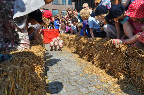 Schon kurz nach dem Start ließ "Angie" die anderen Ferkel weit hinter sich.