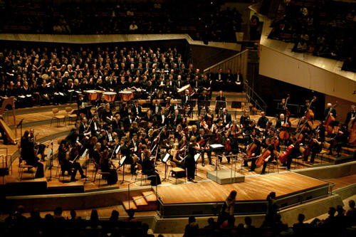 Die Musikerinnen und Musiker des Collegium Musicum in Aktion