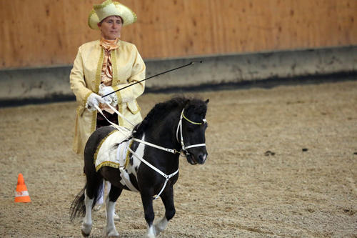 Auch das nur 86 Zentimeter große und am langen Zügel vorgeführte Mini-Shetlandpony „Rosso“ gehört zum Pferdezentrum in Bad Saarow.