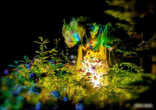In der nächtlichen Szenerie des Botanischen Gartens trafen die Gäste auf die Fee Madame Butterfly und andere phantastische Gestalten.