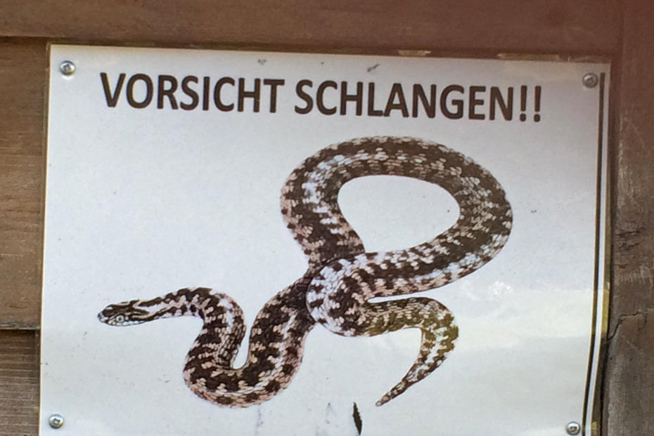 Der Weg über die Alpen ist nicht immer ganz ungefährlich.