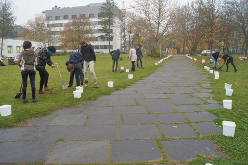 Fleißige Helfer bei der Pflanzaktion auf der Studentenaue zwischen den Fachbereichen Rechtswissenschaft und Wirtschaftswissenschaft.