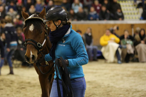 Franziska Görwitz ist Expertin für artgerechte Pferdeausbildung. Die ehemalige Schülerin von Monty Roberts entwickelt dessen Konzepte als Dozentin im Studiengang "Pferdewissenschaft" der Freien Universität weiter.