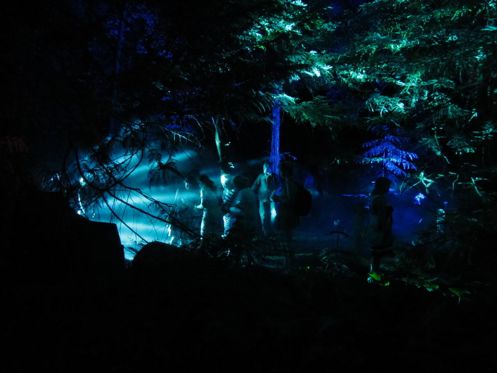 Auf verwunschenen Wegen: Fast märchenhaft wirkt der Botanischen Garten bei Dunkelheit.