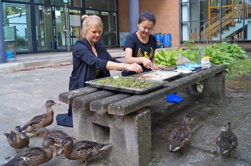 ...haben die Geografie-Studentin Valeska Mildenberger und Mayinu Shanatibieke, Doktorandin an der Freien Universität, einen Großteil ihrer Freizeit geopfert. Hier bereiten sie eine Mahlzeit für die hungrigen Tiere vor.