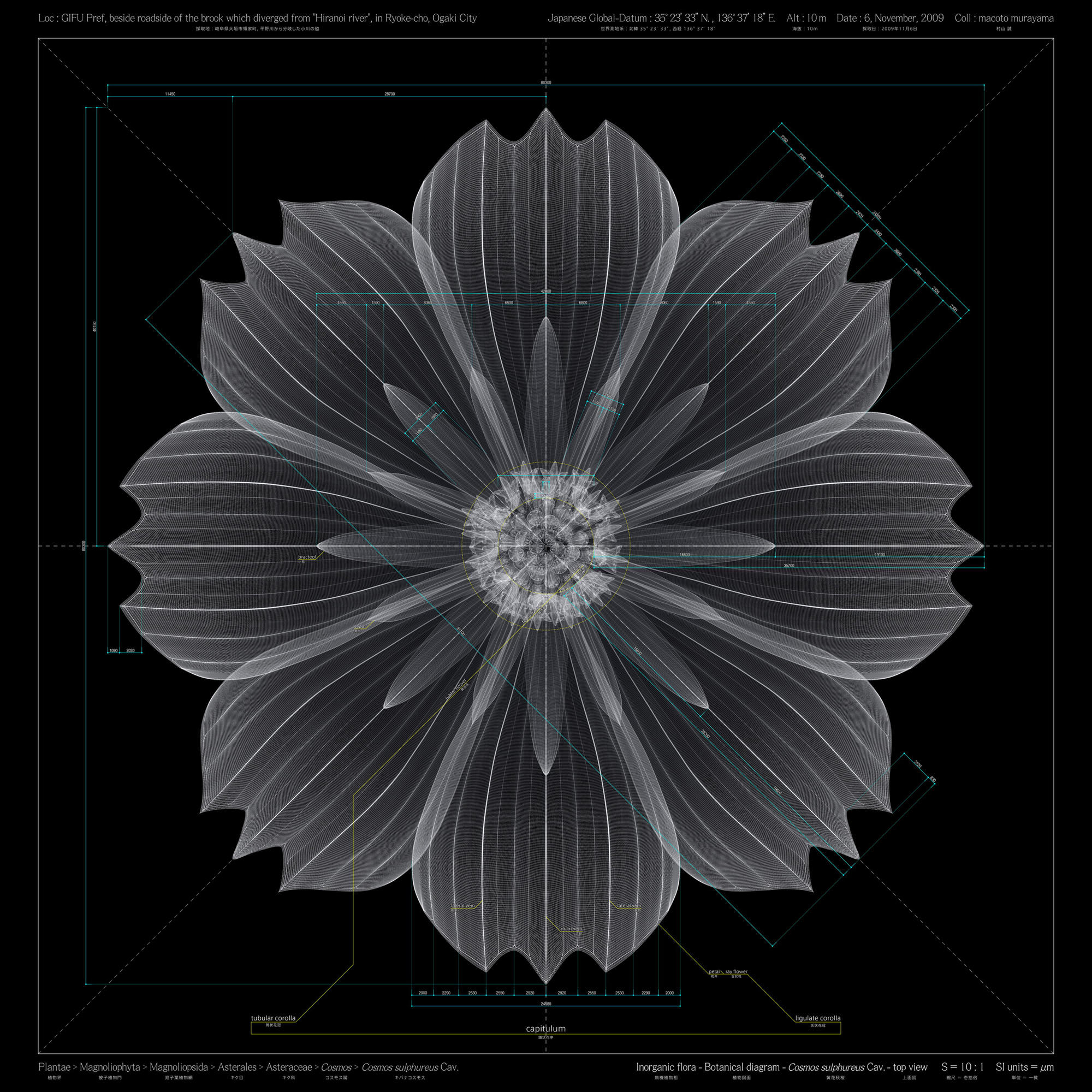 …und die digitalen Blumen des japanischen Künstlers Macoto Murayama werden in der Ausstellung gezeigt.