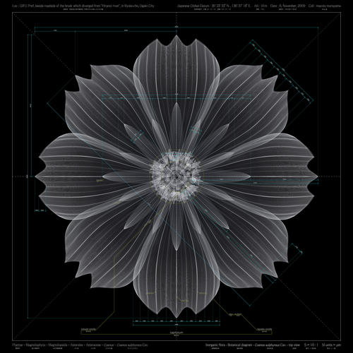 …und die digitalen Blumen des japanischen Künstlers Macoto Murayama werden in der Ausstellung gezeigt.