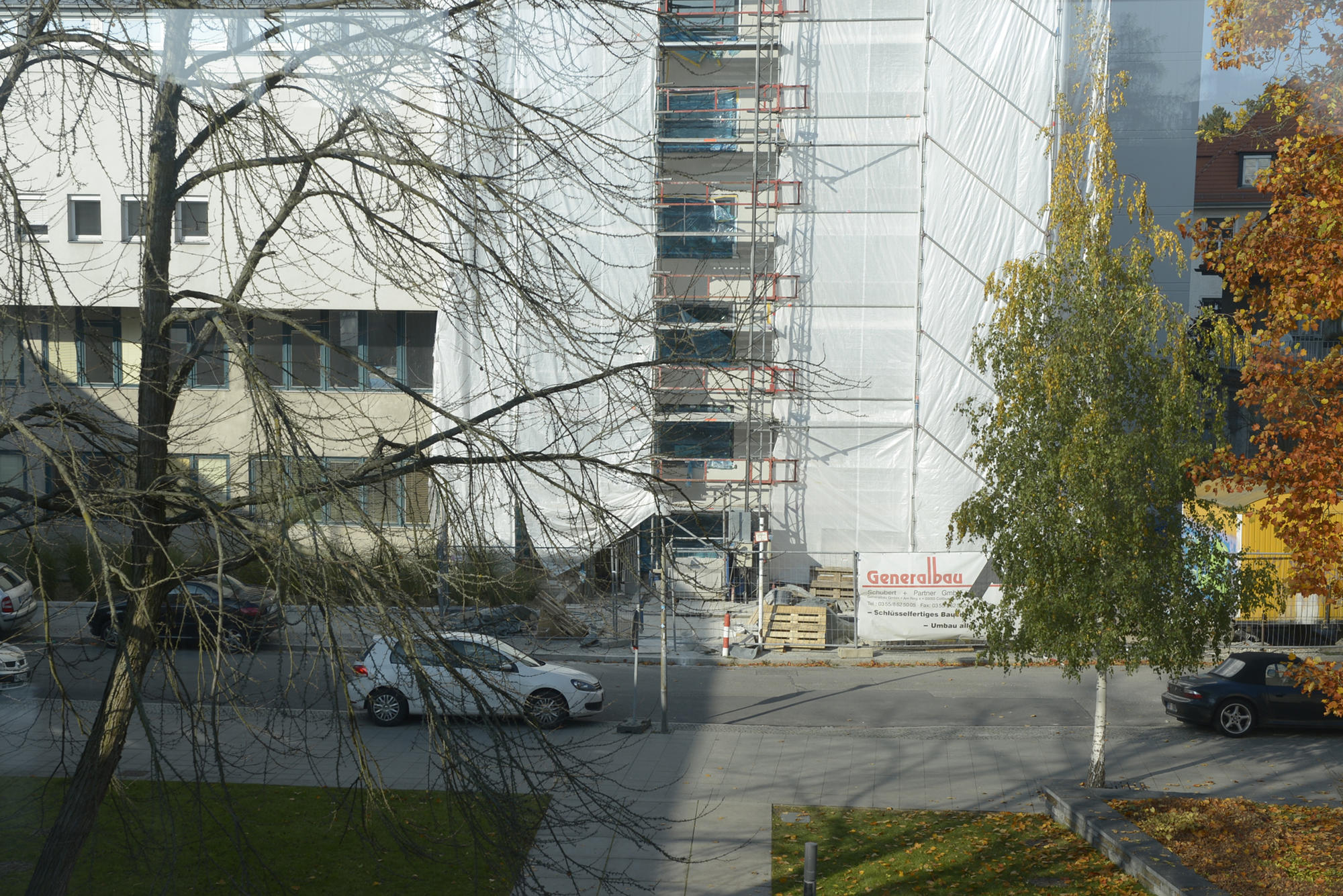 Bei einer erneuten Grabung in der Dahlemer Harnackstraße sind Knochenfragmente gefunden worden.