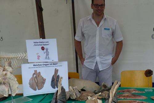 Anatomie zum Anfassen: von der herzförmigen Pferdeniere bis zur Elefantenrüsselscheibe. Mehr zu den Präparaten und Schnitten erläuterte PhD-Student Guiliano Corte am Stand der Veterinär-Anatomie.