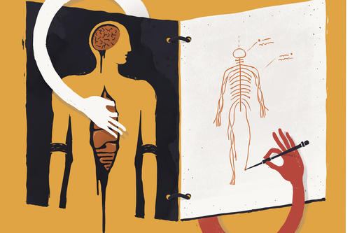 Das Wissen über die Anatomie und die Physiologie, die Strukturen und Funktionen der inneren Körperteile spielte in der Antike eine wichtige Rolle beim Versuch, die Seele zu verstehen.