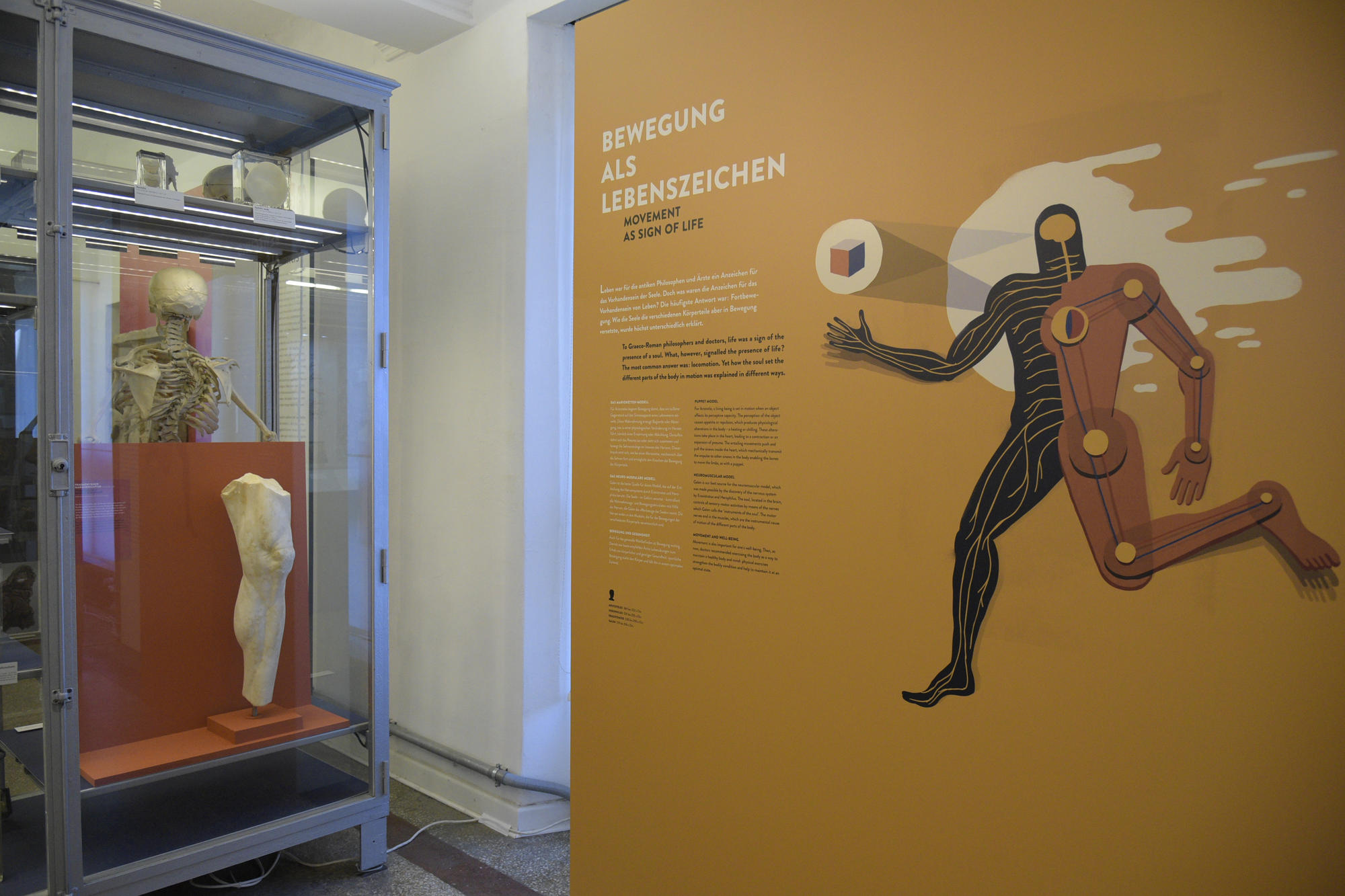 Am 7. September führen die Kuratorinnen durch die Ausstellung - eine der letzten Möglichkeiten, die Schau zu sehen.