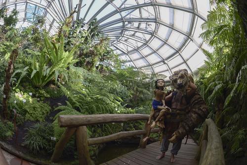 Dschungel-Feeling im Botanischen Garten: Mogli und Balu (Michele Andrei) auf ihrem Weg durch das Große Tropenhaus des Botanischen Gartens.