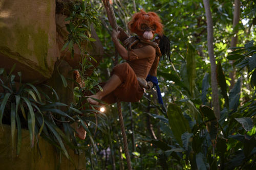 Action auf dem Affenfelsen: Eine Orang-Utan hat Mogli entführt.