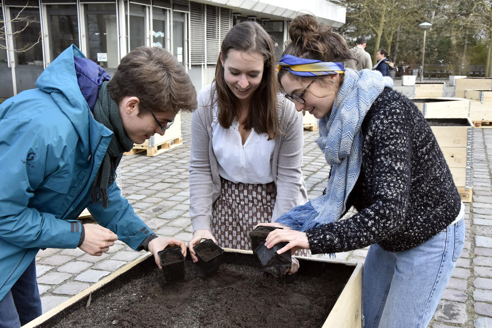 Gemeinsam Erde holen: Ziel des Wettbewerbs „Grow Your Network“ ist es, dass sich Mitglieder des Fachbereichs Biologie, Chemie, Pharmazie untereinander besser kennenlernen – und mit ihren Beeten den Campus verschönern.